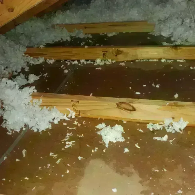 Attic Water Damage in Duck Hill, MS